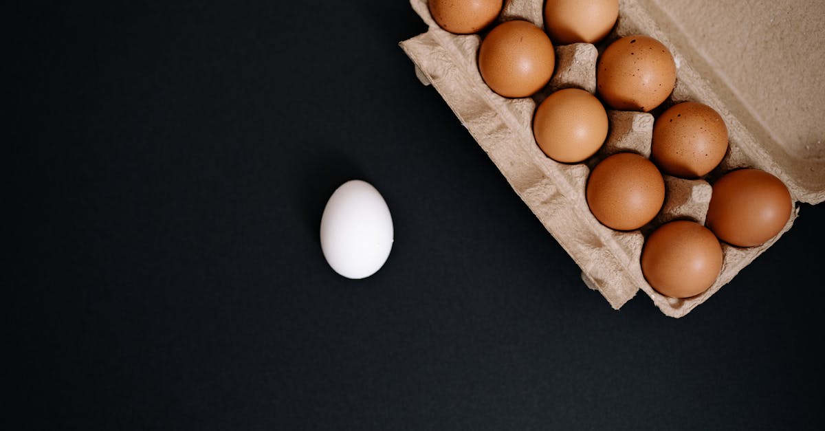 découvrez les nuances et variations qui définissent la notion de différence. explorez comment elle influence nos vies, nos cultures et nos interactions au quotidien.