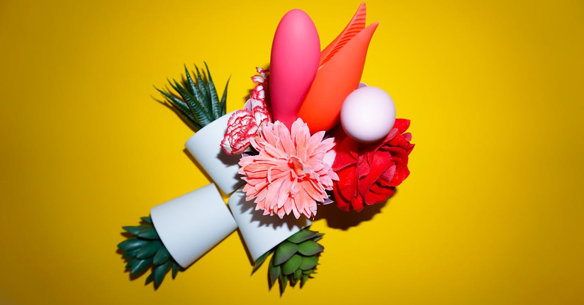 découvrez tout sur les dildos : conseils d’utilisation, différents types, matériaux, et astuces pour une expérience sûre et agréable. guide d’achat et réponses à vos questions fréquentes.