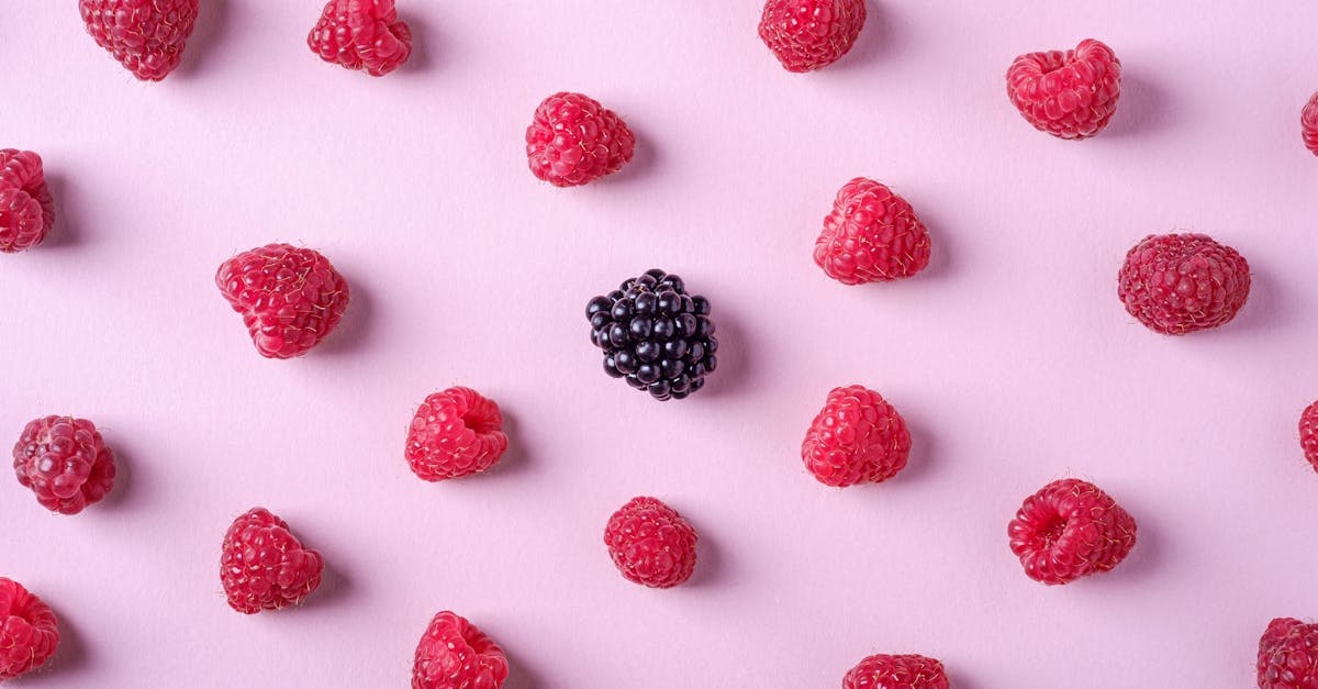 découvrez tout sur les produits comestibles : idées, recettes, conseils d’utilisation et bienfaits pour intégrer facilement les aliments comestibles dans votre quotidien.