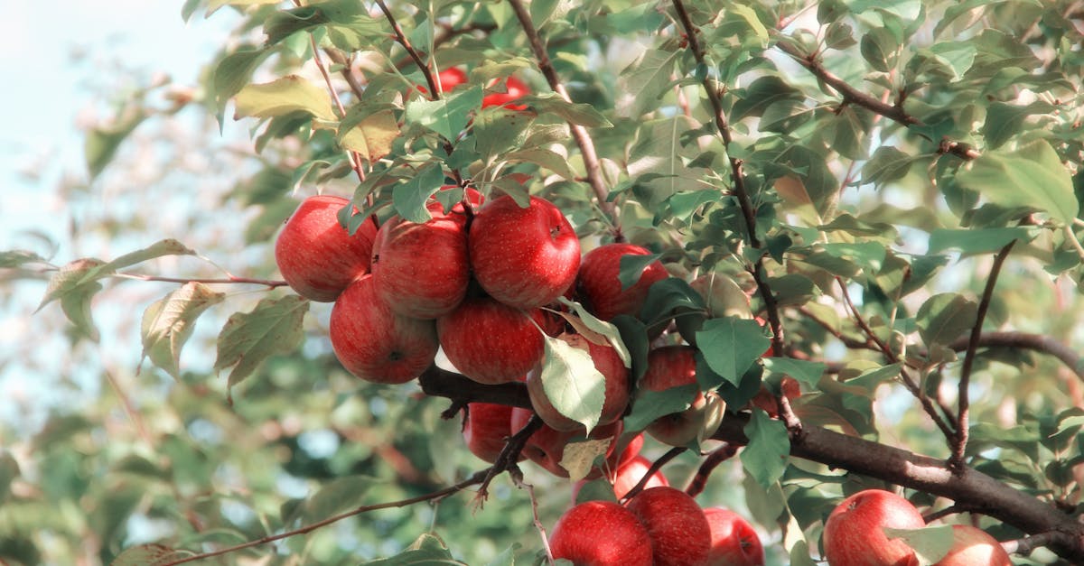 découvrez notre lubrifiant comestible, idéal pour des moments intimes tout en douceur et en sécurité. formule gourmande, respectueuse du corps et facile à nettoyer. essayez-le pour pimenter vos plaisirs !