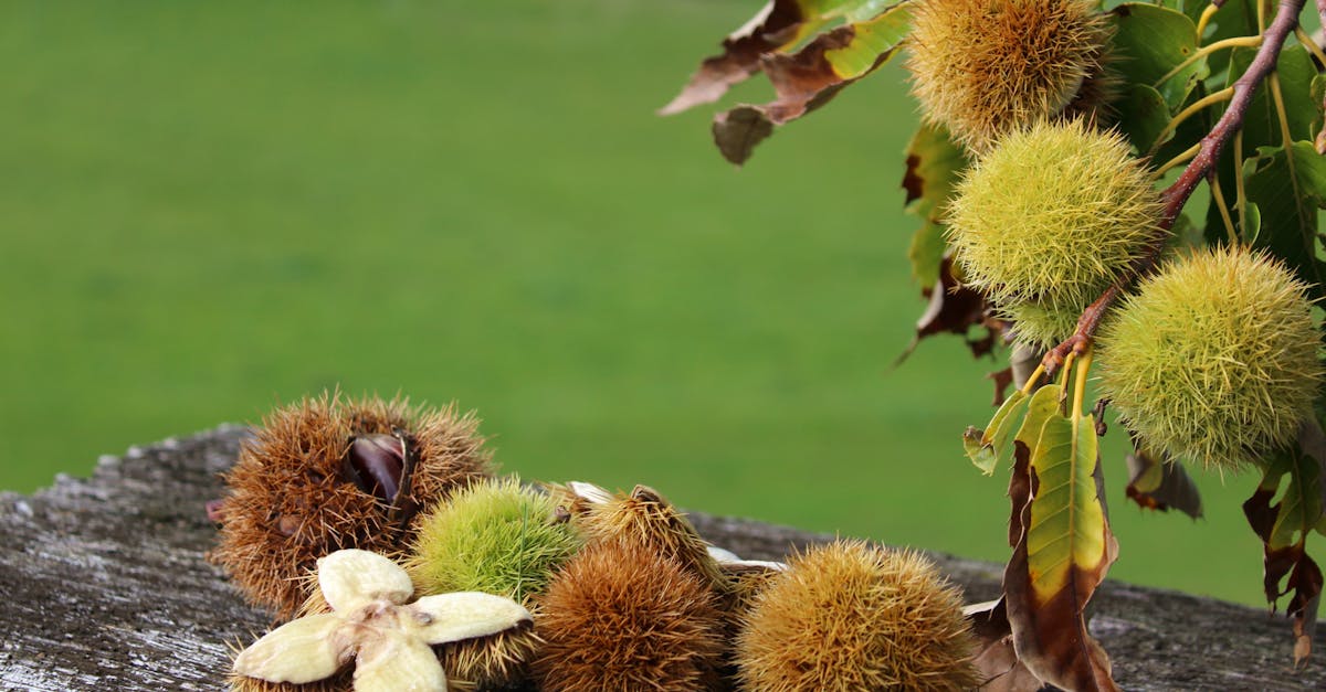 découvrez le lubrifiant comestible : une solution sûre et gourmande pour pimenter vos moments intimes tout en préservant votre confort et votre plaisir.