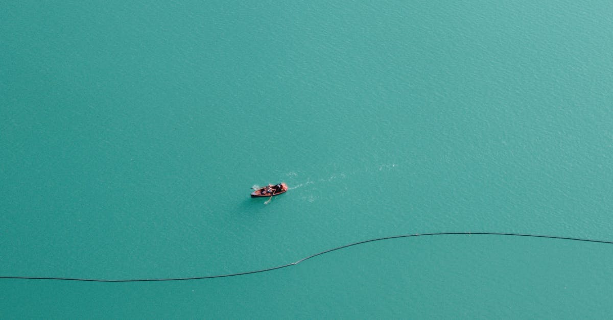 découvrez tout sur le paddle : conseils, équipements, bienfaits et astuces pour débutants et confirmés. apprenez à choisir votre matériel et à profiter pleinement de ce sport nautique tendance.