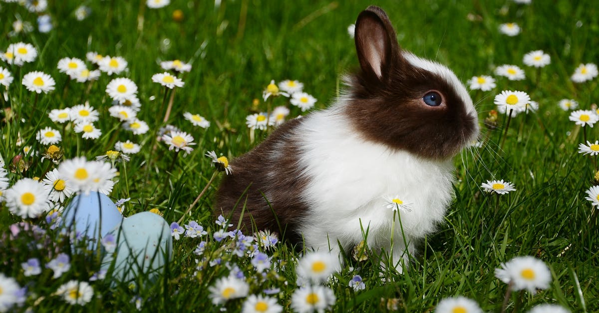 découvrez le rabbit vibrator, un sextoy innovant qui offre une double stimulation pour des sensations intenses. idéal pour explorer de nouveaux plaisirs en toute discrétion et sécurité.